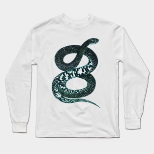 serpent,cobra,reptile,viper,venom,lizard,rattlesnake,king cobra Long Sleeve T-Shirt